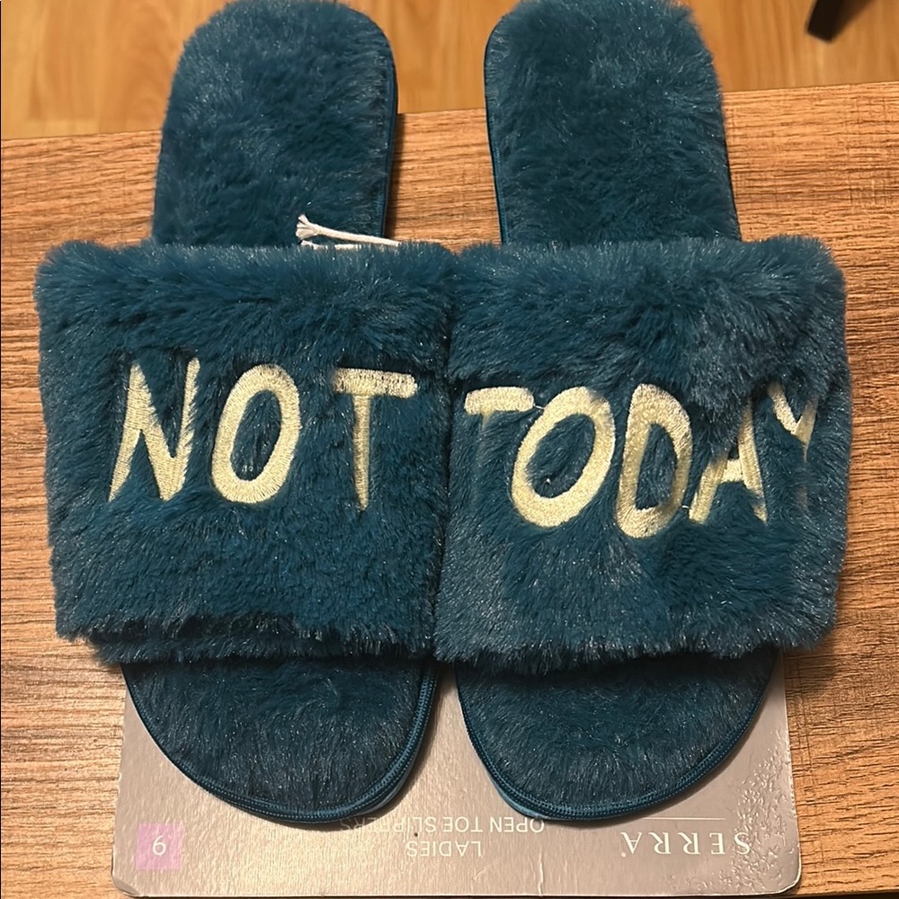 Teal Fuzzy Slides with 'Not Today' Embroidery